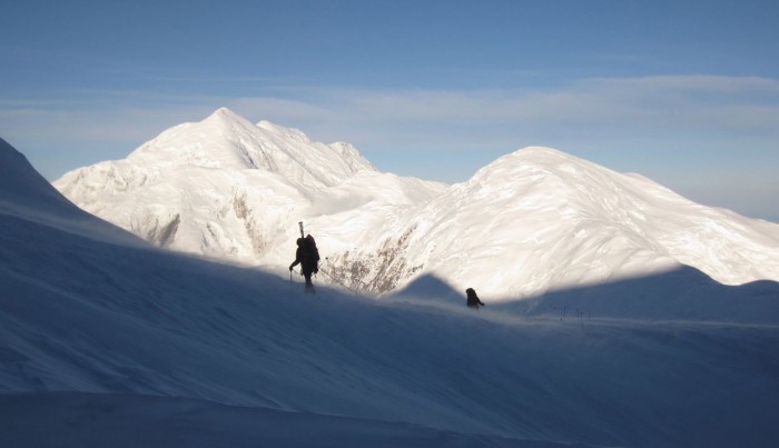 Denali Squirrel Hill