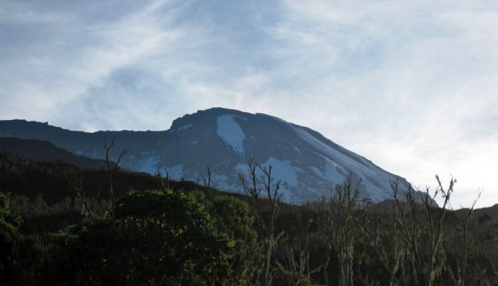Kilimanjaro
