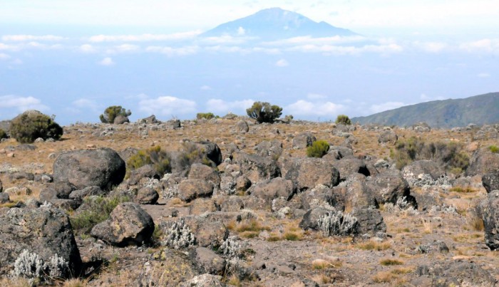 Kilimanjaro