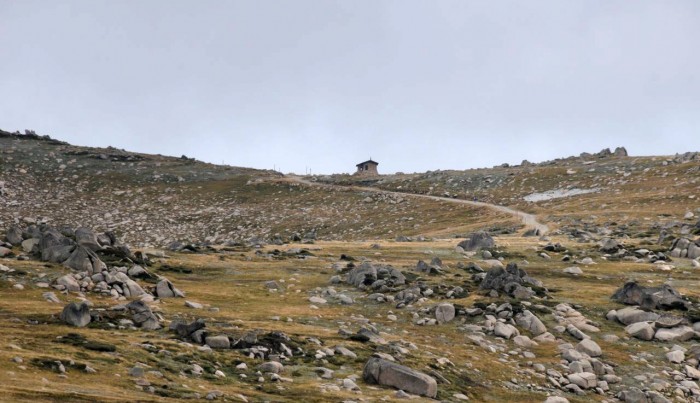 Kosciuszko